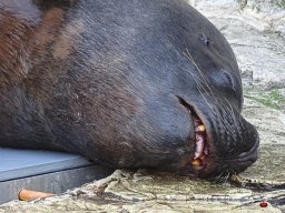 Tiergarten Schönbrunn am 23.03.2023